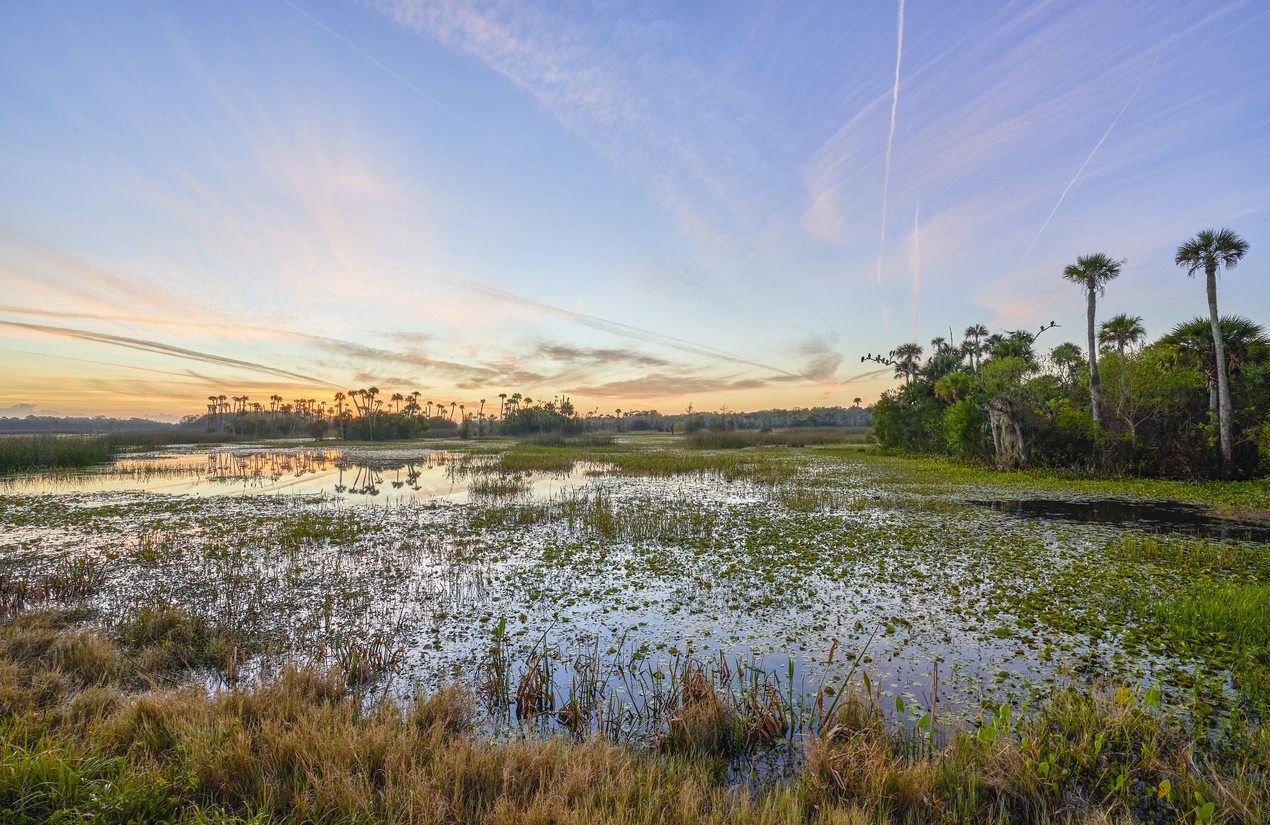 Panoramic Image of Spring Hill, FL